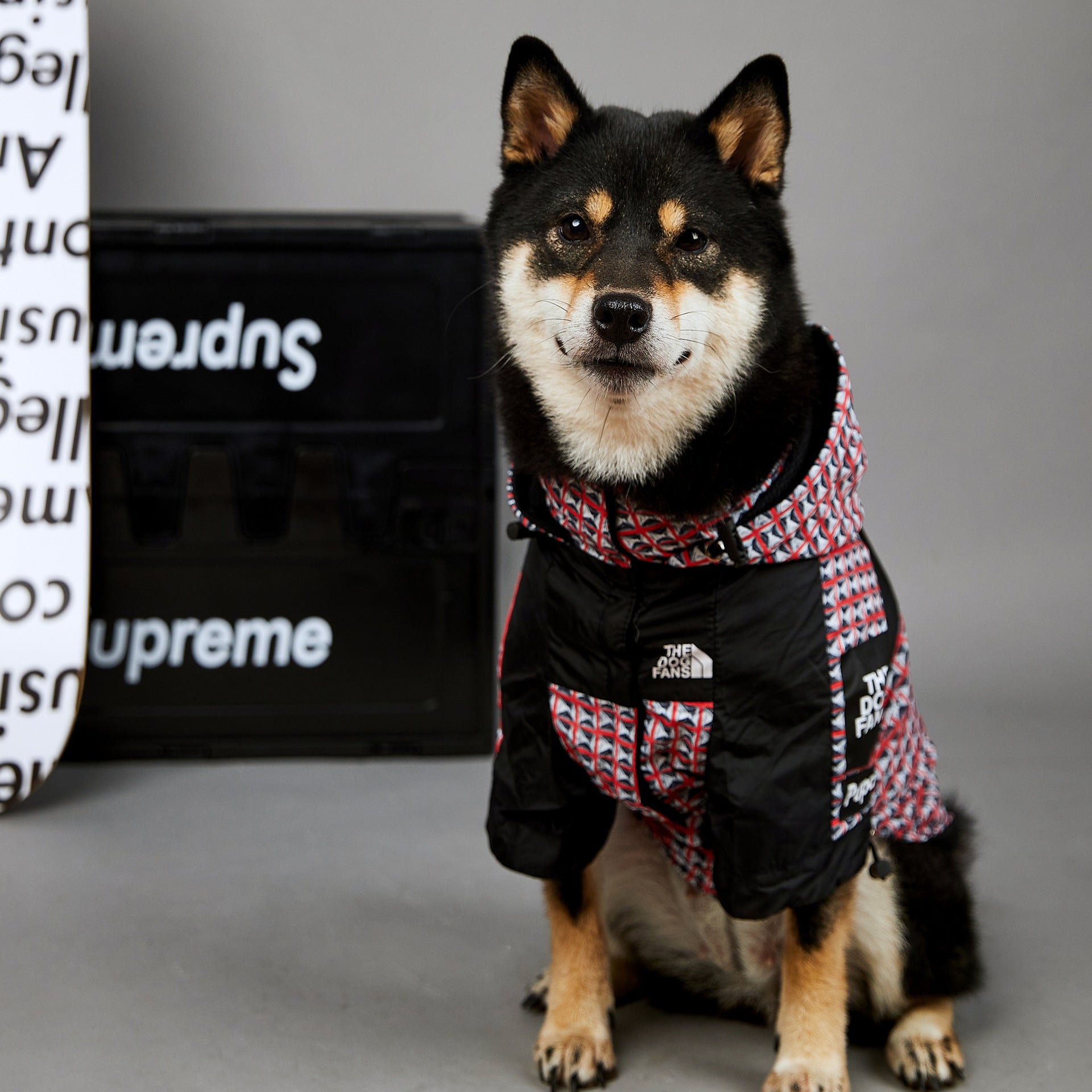 The Dog Fans Regenjacke kariert in 3 verschiedenen Farben